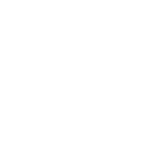 The Settlement Company